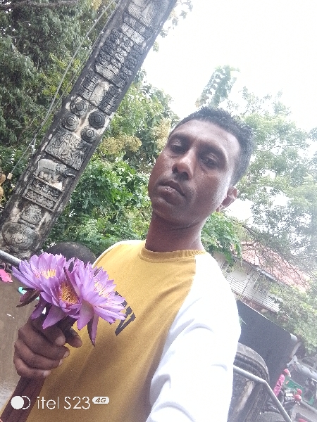 Gallery_3