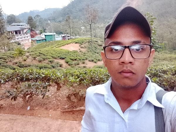 Gallery_3