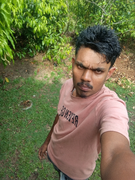 Gallery_2